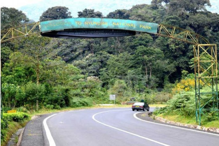 Nyungwe Forest National Park-Safari Van Rental Uganda