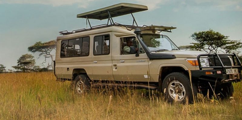 Safari Land Cruiser